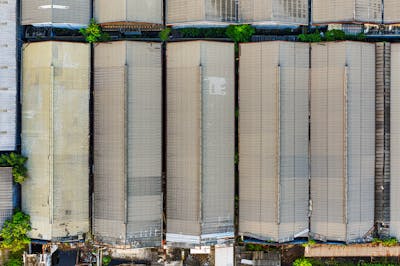 Industrial warehouse TPO roofing
